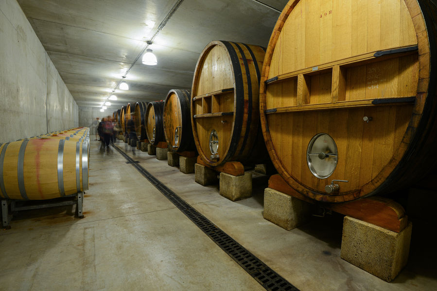Interior view of the Clos du Calvaire winery with its impressive wooden casks lined up. This space of