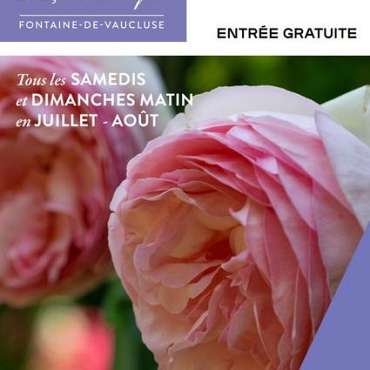 Les matinales de l'été au musée ! (Musée Pétrarque) - EN