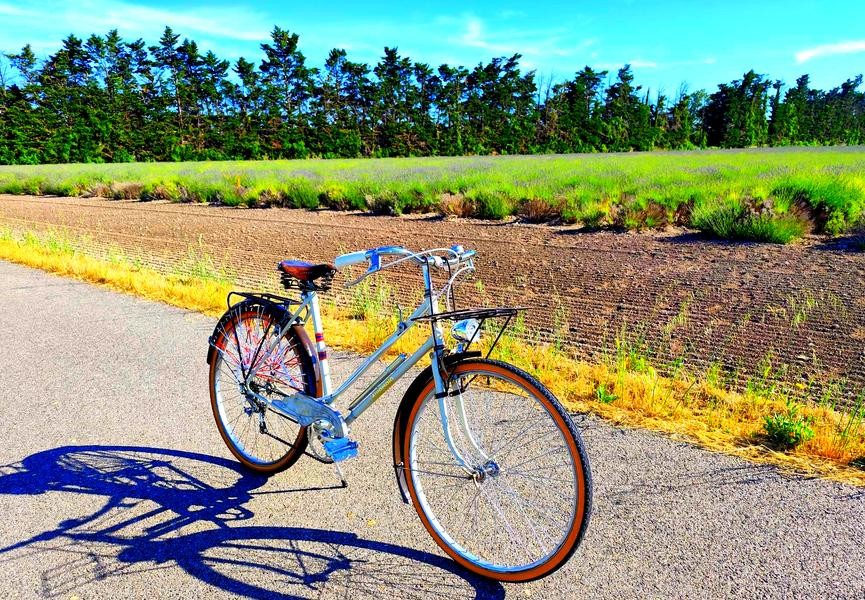An antique bike is stopped at the edge of