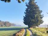 Gravel entre Durance et Sorgue_Caumont-sur-Durance