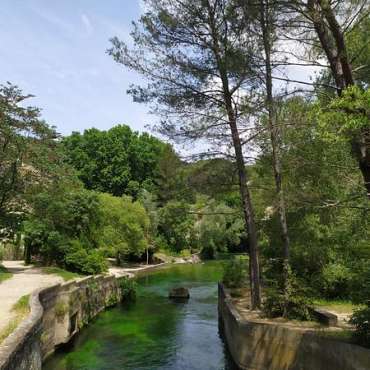 1ère Conférence du cycle : Pétrarque et la Sorgue par Donatella Punturo - EN