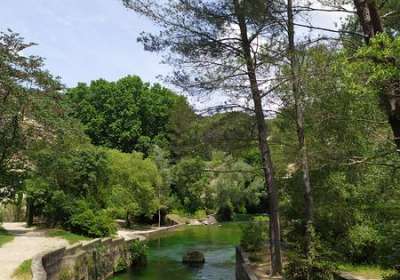 1ère Conférence du cycle : Pétrarque et la Sorgue par Donatella Punturo - EN