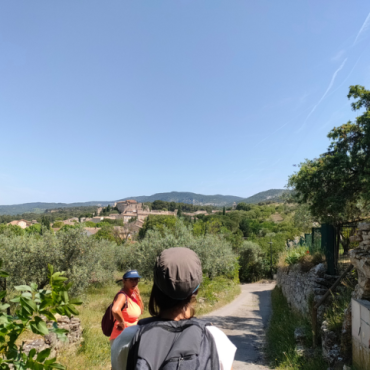 Balade commentée : à la rencontre des paysages vauclusiens - EN