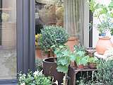 Atelier Provence VB- Fleuriste - L'Isle sur la sorgue