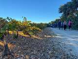 Festival de la Sorgue - Rendez-vous d'Automne_Fontaine-de-Vaucluse