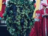 Ban des Vendanges 2026_Châteauneuf-de-Gadagne