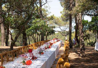 Les banquets du Géant de l’AOC Ventoux - EN
