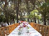 Les banquets du Géant de l’AOC Ventoux_L'Isle-sur-la-Sorgue