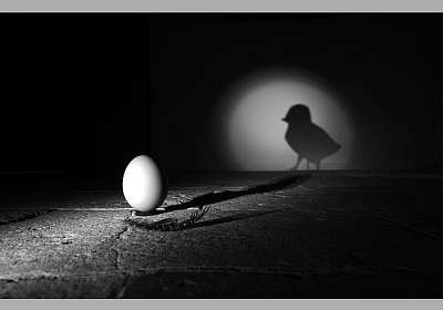 Exposition de photographies 