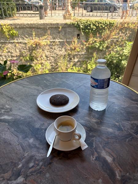 Coffee break at Orlie with an espresso and a cookie, installed near a large bay window overlooking the vegetation and the quays of L