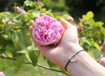 Jardins Rose des Arts - EN