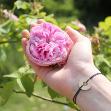 Jardins Rose des Arts - EN