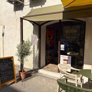 Orlie - EN