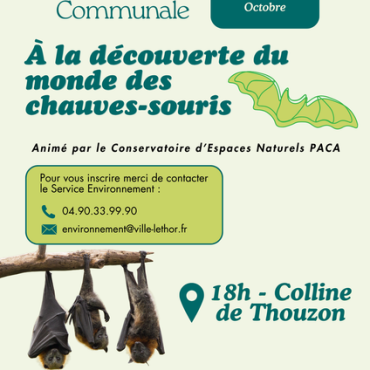 À la découverte du monde des chauves-souris - EN