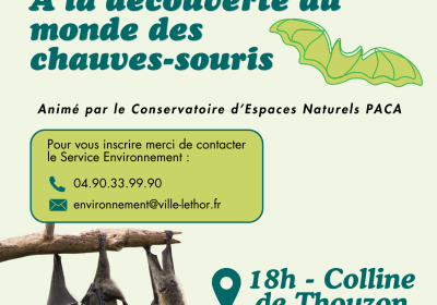 À la découverte du monde des chauves-souris - EN