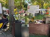 Cours d'art floral