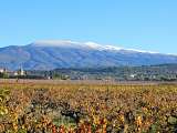 ventoux