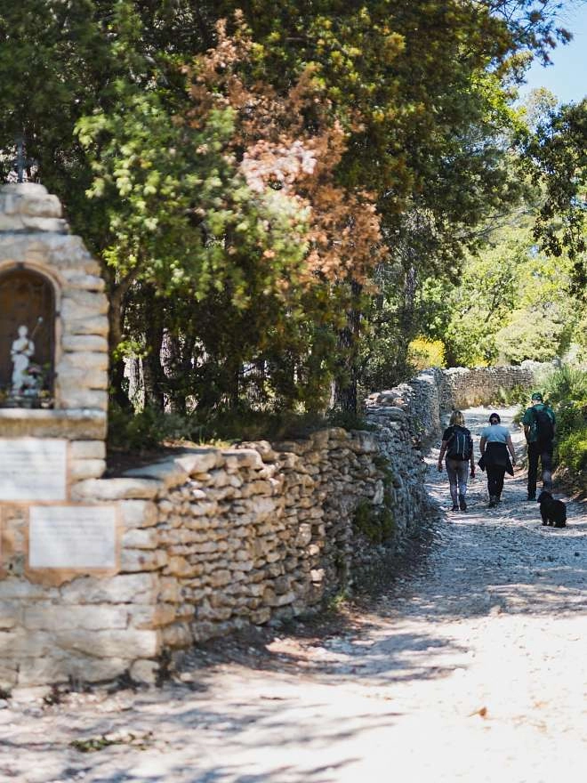 A 100% sport and nature week in the Vaucluse Mountains