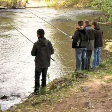 Vaucluse Fishing Federation