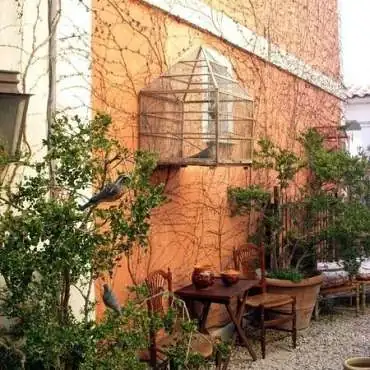 Memoirs of a Donkey (JJ Bourgeois)