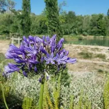 PassionAquatic Fishing Lake