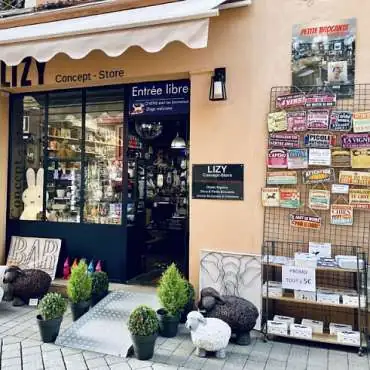 LIZY Concept Store - EN