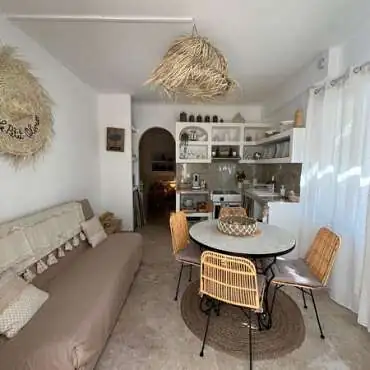 The little olive tree