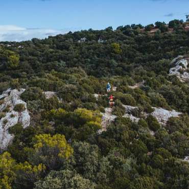 Trail des Monts de Vaucluse - EN