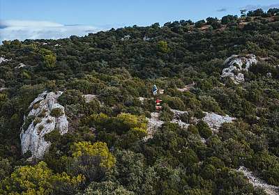 Trail des Monts de Vaucluse - EN