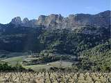 Dentelles de Montmirail